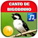 Logo of Canto De Bigodinho android Application 