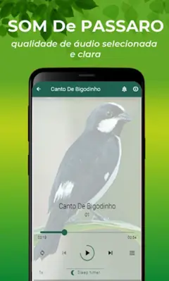 Canto De Bigodinho android App screenshot 0