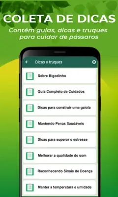 Canto De Bigodinho android App screenshot 1