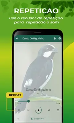 Canto De Bigodinho android App screenshot 2