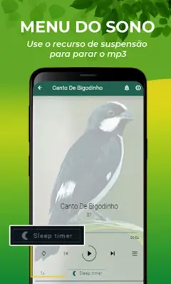 Canto De Bigodinho android App screenshot 4