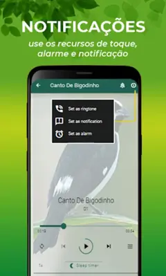 Canto De Bigodinho android App screenshot 5