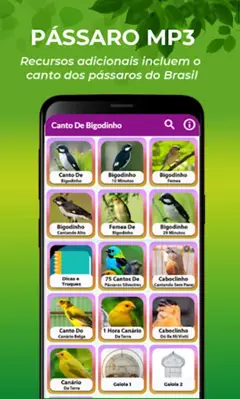 Canto De Bigodinho android App screenshot 6